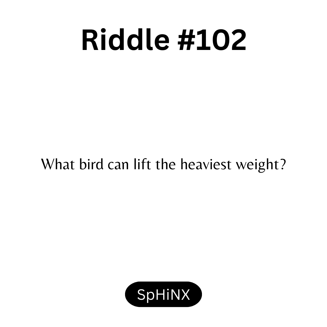 Riddle #102 by SpHiNX