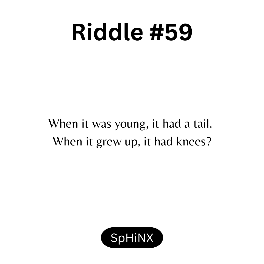 Riddle #59 by SpHiNX