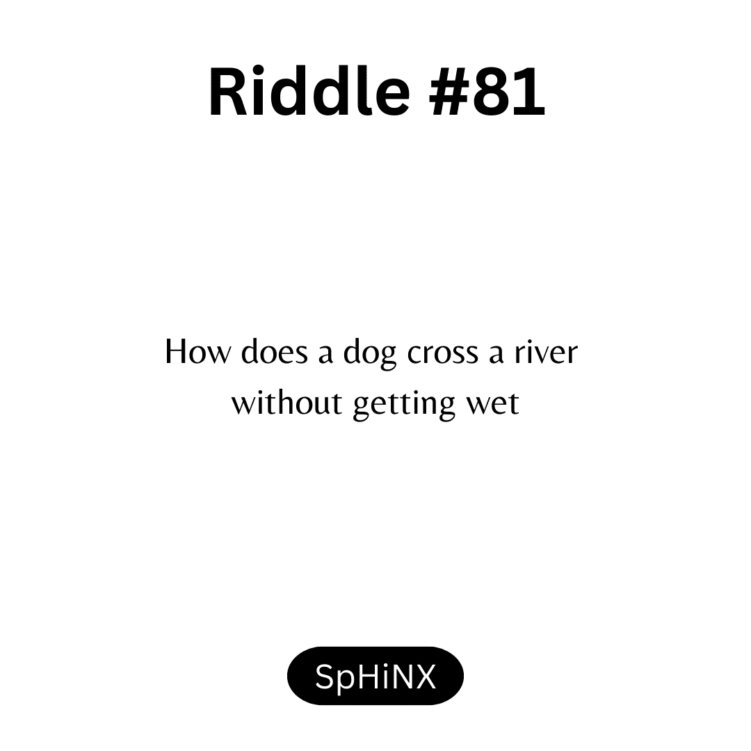 Riddle #81 by SpHiNX