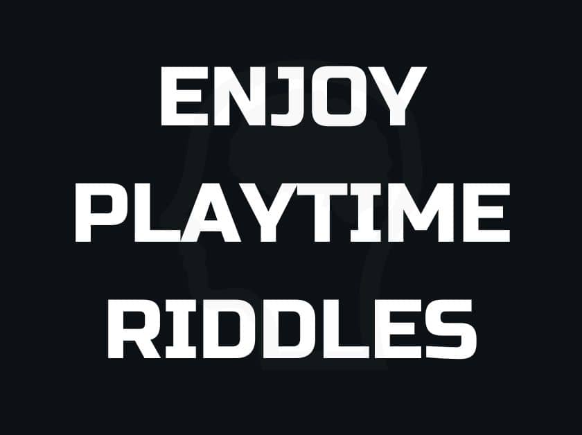 Playtime Riddles: Fun Riddles for All Ages