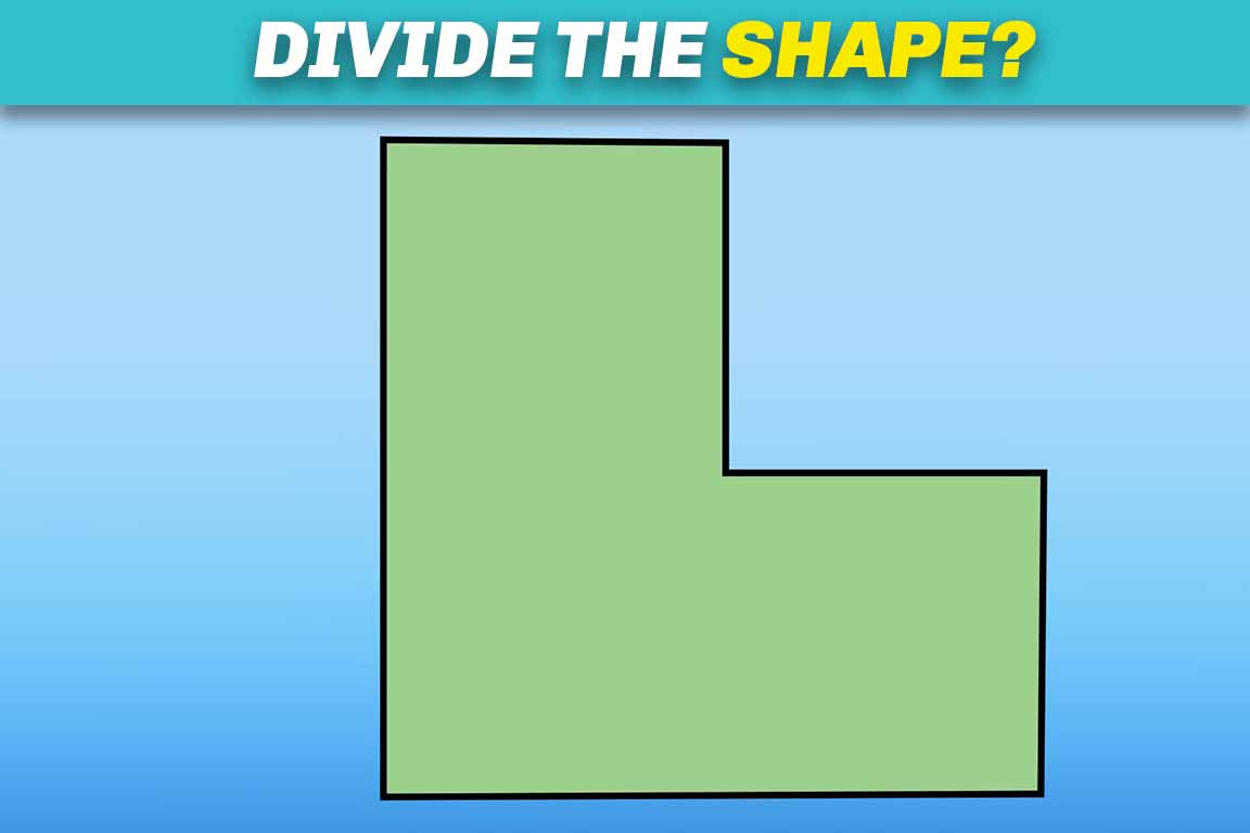 Complex puzzles Divide the shape