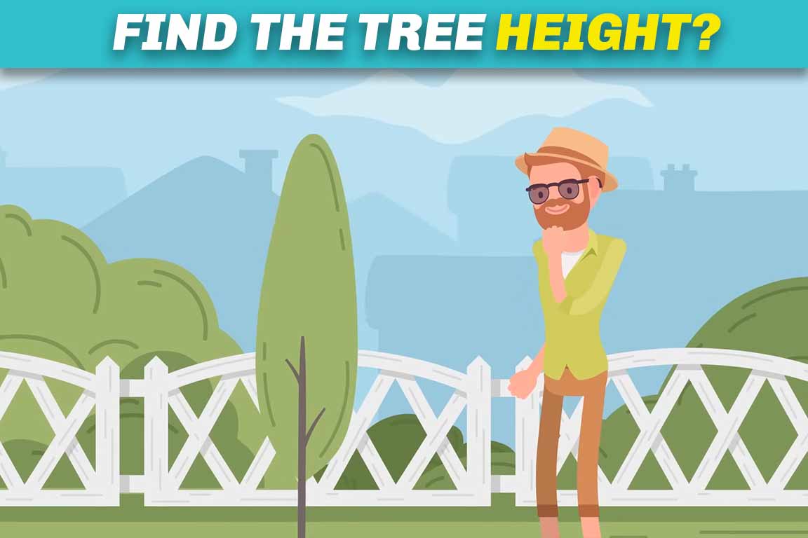 Brain Boosting Puzzles Find the tree height